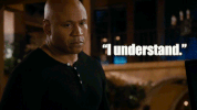 "i understand" ncis: los angeles GIF by CBS