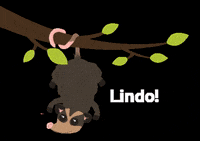 projetomarsupiais love amor animal pretty GIF