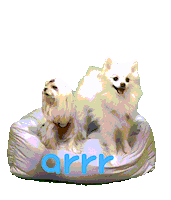 아르르 Sticker by arrr_official