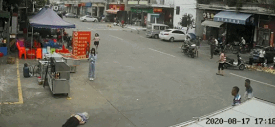 cuteanimalland giphyupload GIF