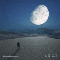 Desert Survival GIF by Funcom