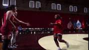 Womens Wrestling GIF by Norwich University