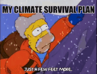 simpsons my climate survival guide GIF by Center for Story-based Strategy 