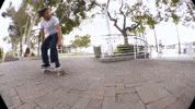 Long Beach Skateboarding GIF by Emerica
