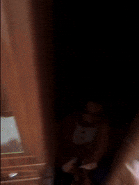 Soviet Party GIF