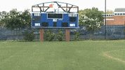 greg evans cnms18 GIF by Carson-Newman Athletics
