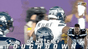 Seattle Seahawks Football GIF by NFL