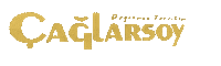 Çağlarsoy Sticker by Bornova Sihhi Tesisat