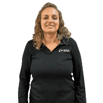 gnpresearch gnp research Sticker