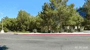 car chevrolet GIF by Off The Jacks