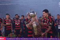 Libertadores GIF