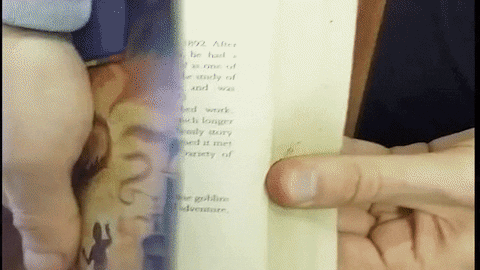 animation hobbit GIF