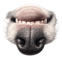 Dog Love Sticker by abana a cauda