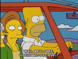 homer simpson GIF