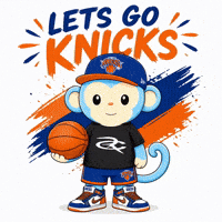 New York Basketball GIF by Respective