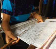 GIF by Coolhuntermx