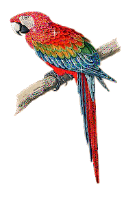 bird sparkle STICKER