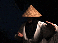 raiden GIF