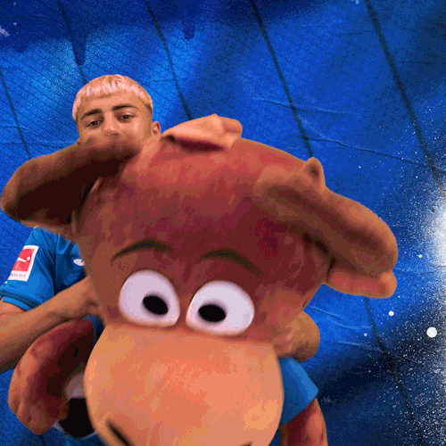 Sport Bundesliga GIF by TSG Hoffenheim