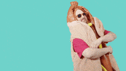 Sounds Good Hot Dog GIF by StickerGiant