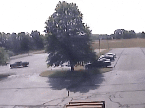 Plane Airplane GIF