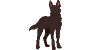 Brahe Sticker by Lybecker_animaatio