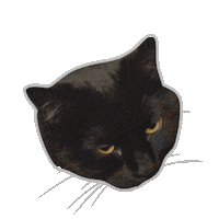 Angry Cat Sticker