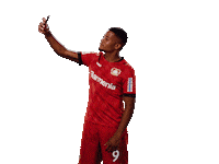 Bayer 04 Selfie Sticker by Bayer 04 Leverkusen