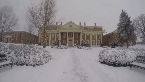 Snow Day GIF by Roanoke College