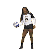 umbc volleyball Sticker