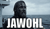 Na Klar Ja GIF