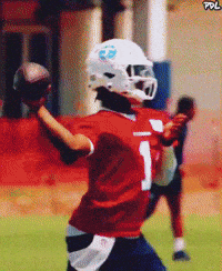 Nfl Tennessee GIF by The Undroppables