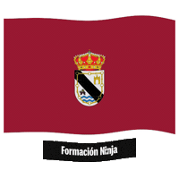 Castilla Y Leon Flag Sticker by Formación Ninja