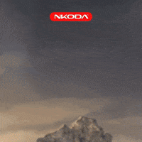 nkoda  GIF