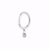 aristocrazy  GIF