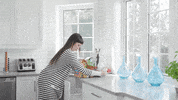 wilder_harrier dog dogs trash diet GIF