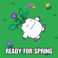 Flowers Vibing GIF by Magic Eden