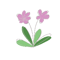 Pink Flower Sticker