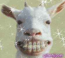GIF by Random Goat