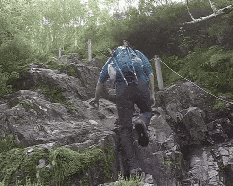 adaptnetwork giphyupload GIF