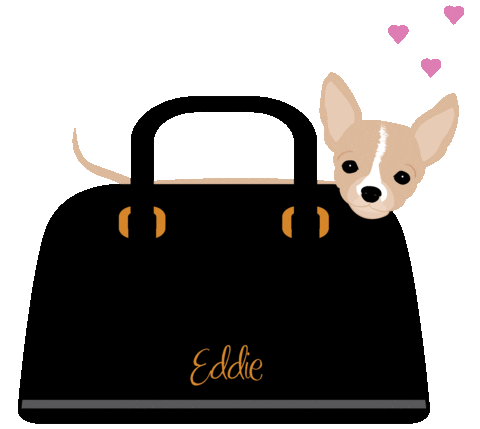 eddiethechihuahua giphyupload dog puppy dogs Sticker