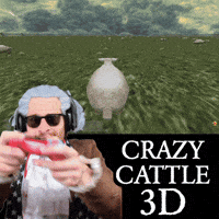 Video Game Gamer GIF