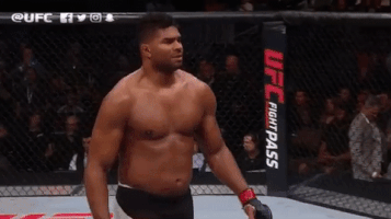 ufc 209 GIF