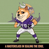 Shiba Inu Nfl GIF by Doge Pound