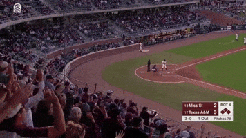 texas am baseball GIF by Texas A&M University