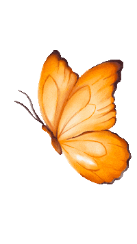 Butterfly Sticker