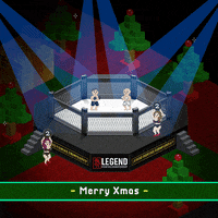 Mma GIF by Legend FC
