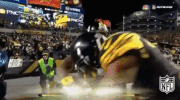 Pittsburgh Steelers Football GIF by NFL