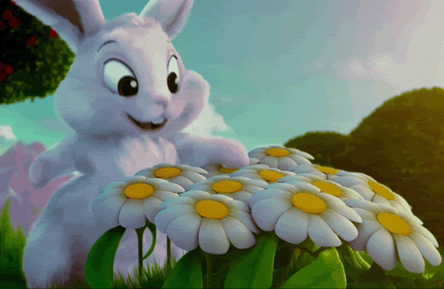 animation bunny GIF