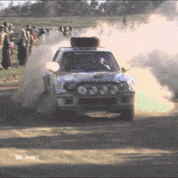 Africa Rallying GIF by FIA World Rally Championship